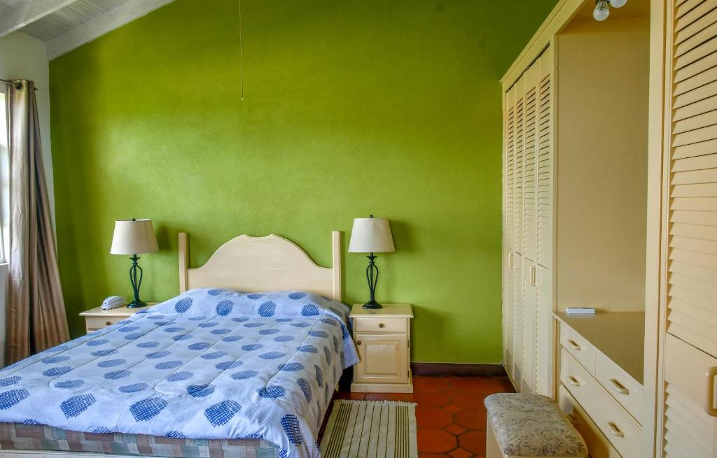 1 dormitorio con cama y pared verde en Best E Villas Prospect St James, en Saint James