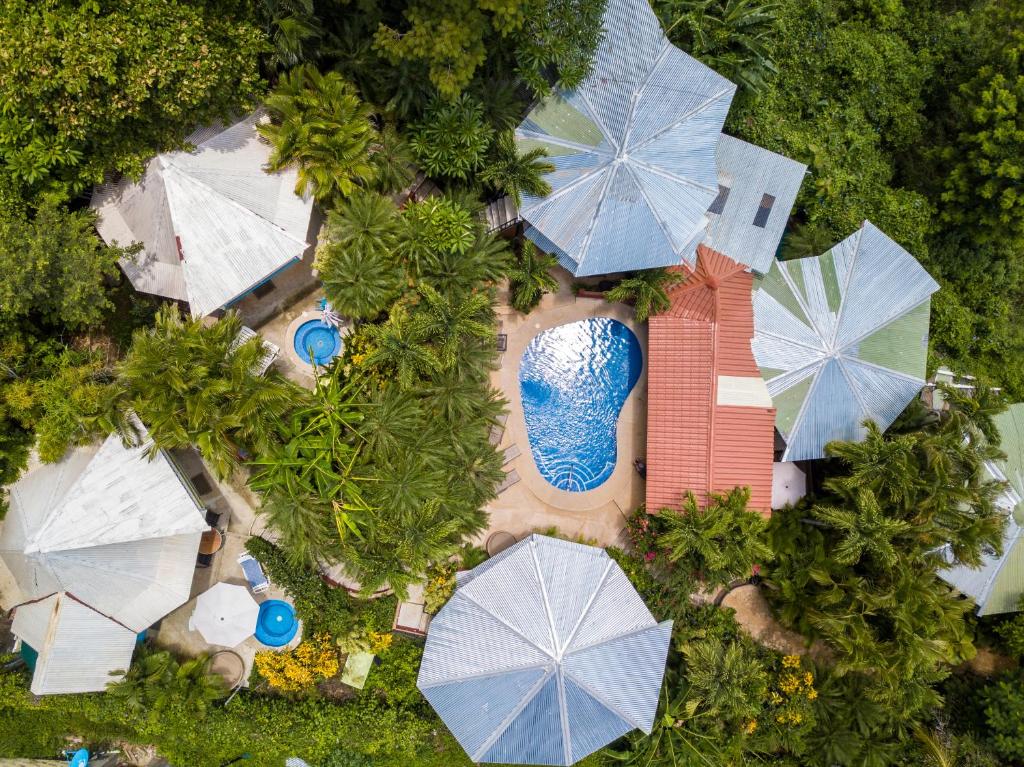 widok na basen z parasolami w obiekcie Tamarindo Village Hotel w mieście Tamarindo