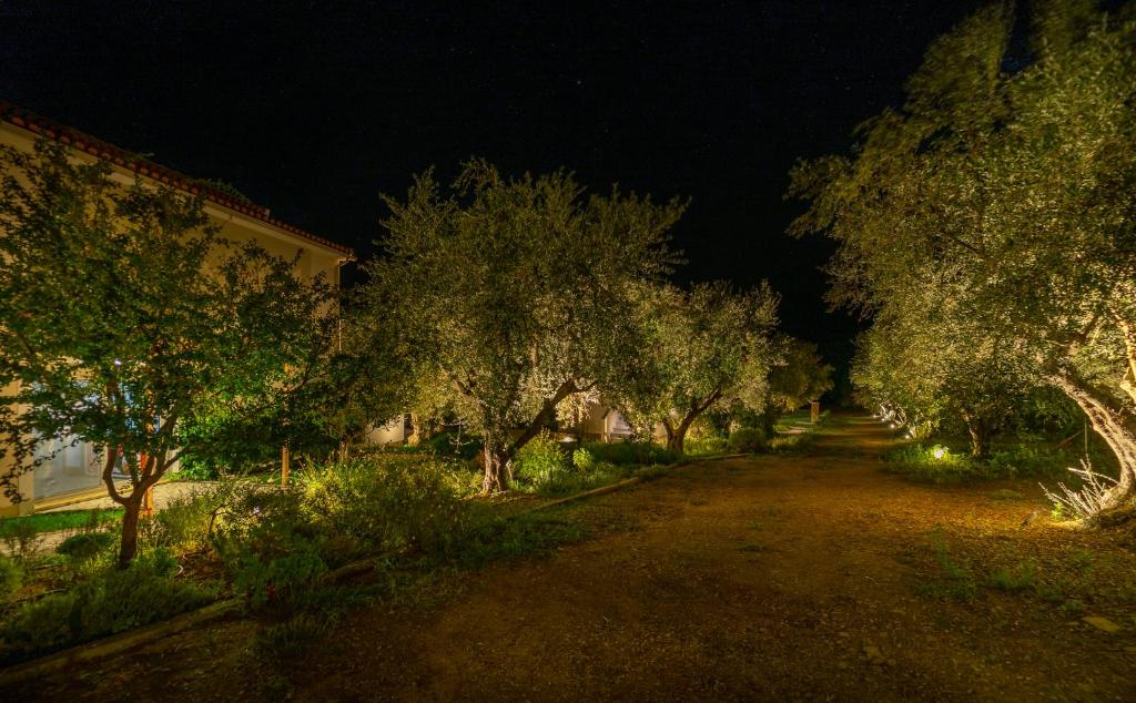 Zahrada ubytování Abelia Luxurious Villas