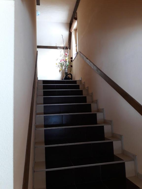 Apartments Vučko Vlašić - Wohnung - Split -Level
