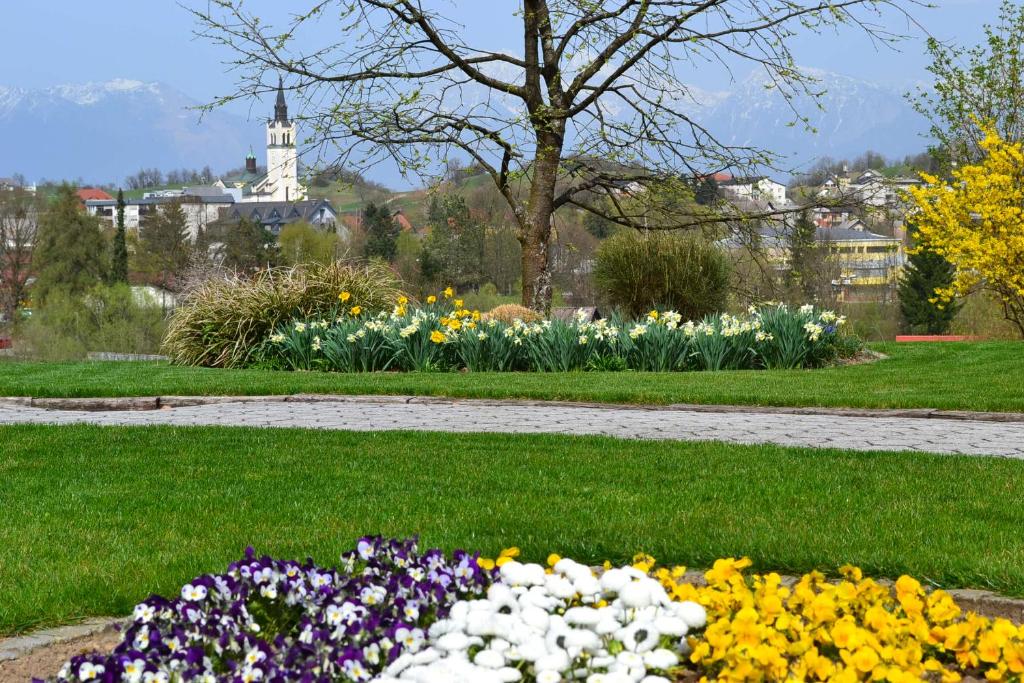 Zahrada ubytování Mini Hotel