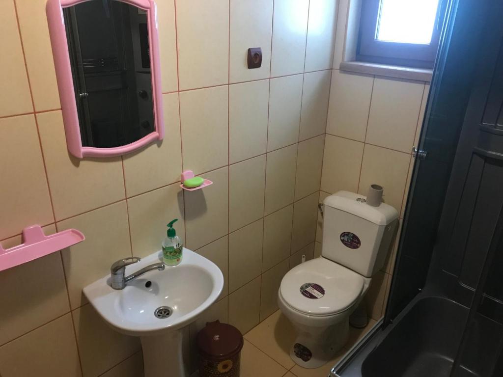 Koupelna v ubytování Shelest Vody
