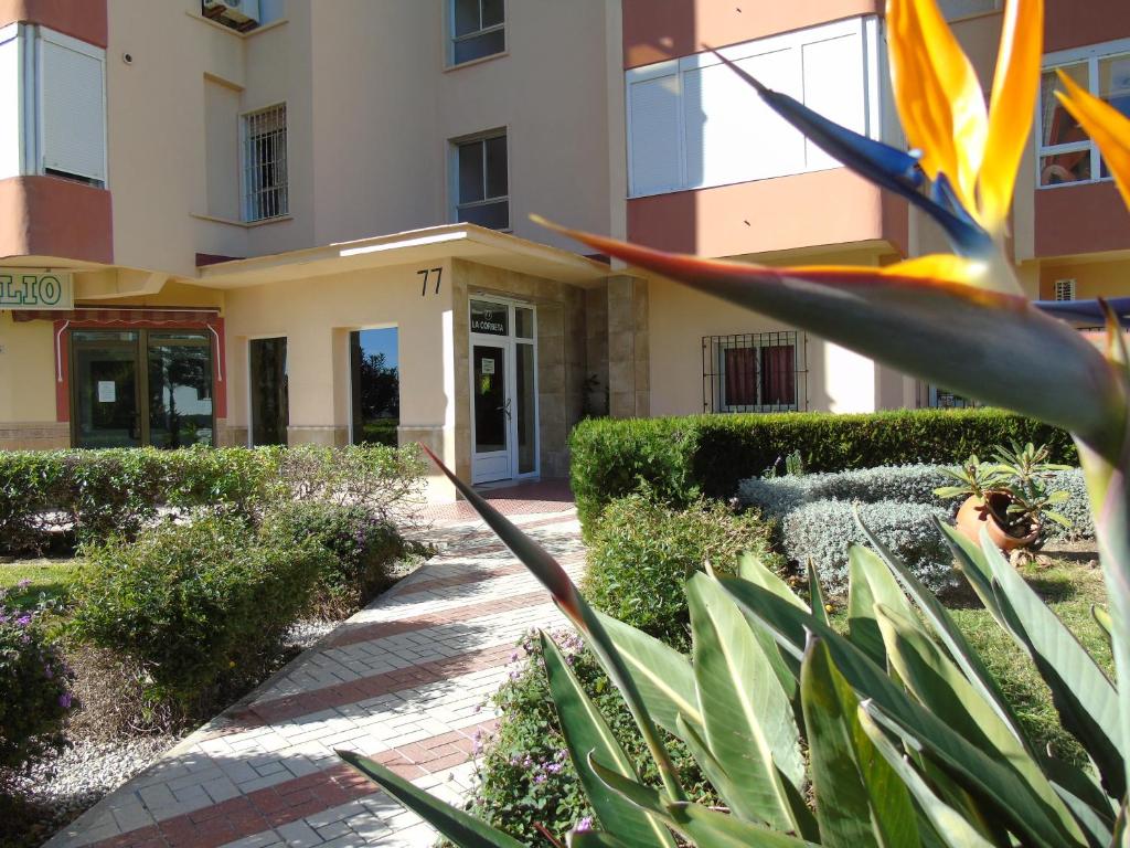 Zahrada ubytování Apartamento Peñalver 813