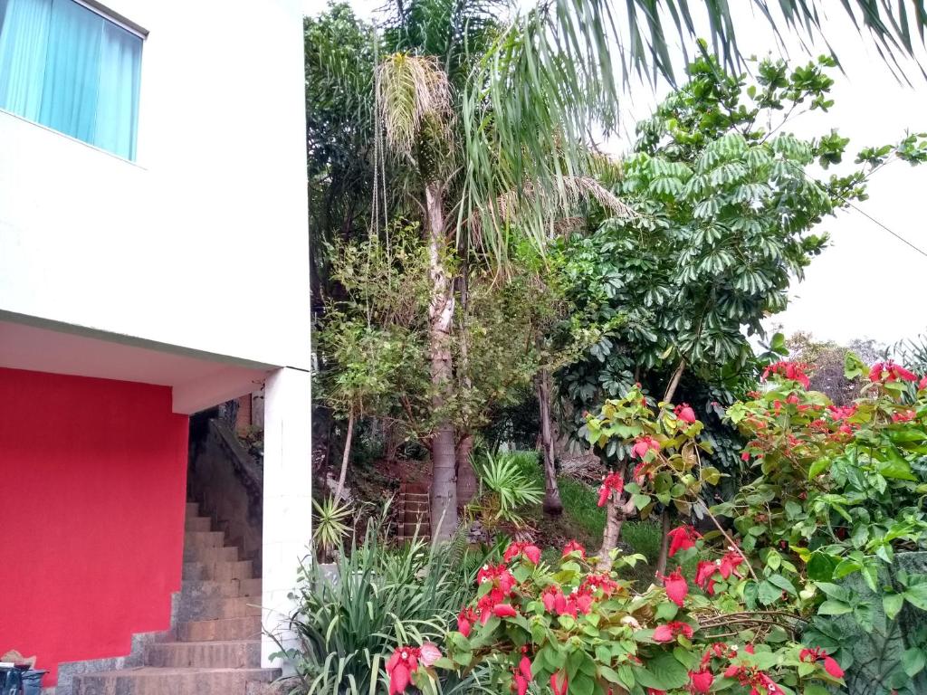  Casa verde