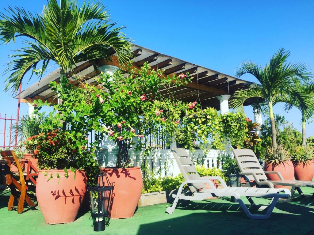 een patio met stoelen en potplanten en palmbomen bij Patio de Getsemani in Cartagena