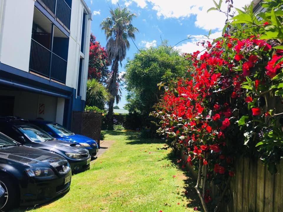 City of Sails Motel - Resim 23