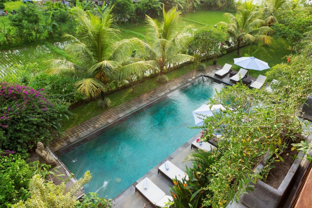 Kolam renang di atau di dekat Kiskenda Cottages & Restaurant