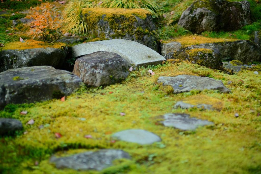 Wakamatsuya thumbnail 3