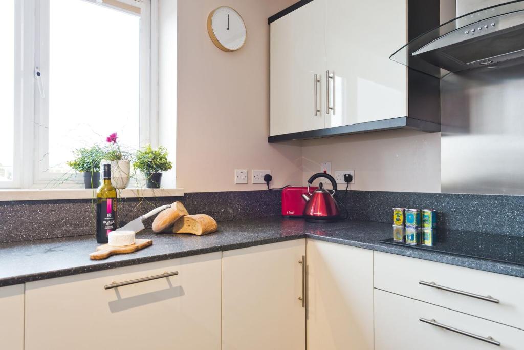 Kuchyň nebo kuchyňský kout v ubytování Broc House Suites