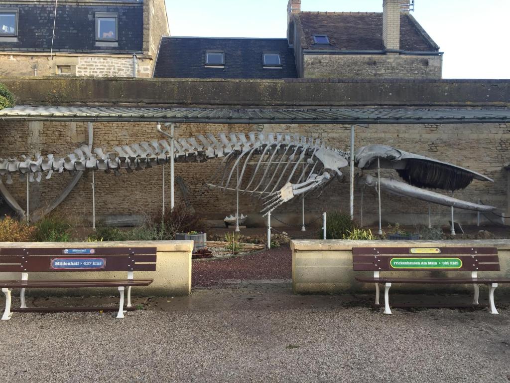 una escultura de una ballena al lado de un edificio en Maison de pêcheur 30m de la plage en Luc-sur-Mer