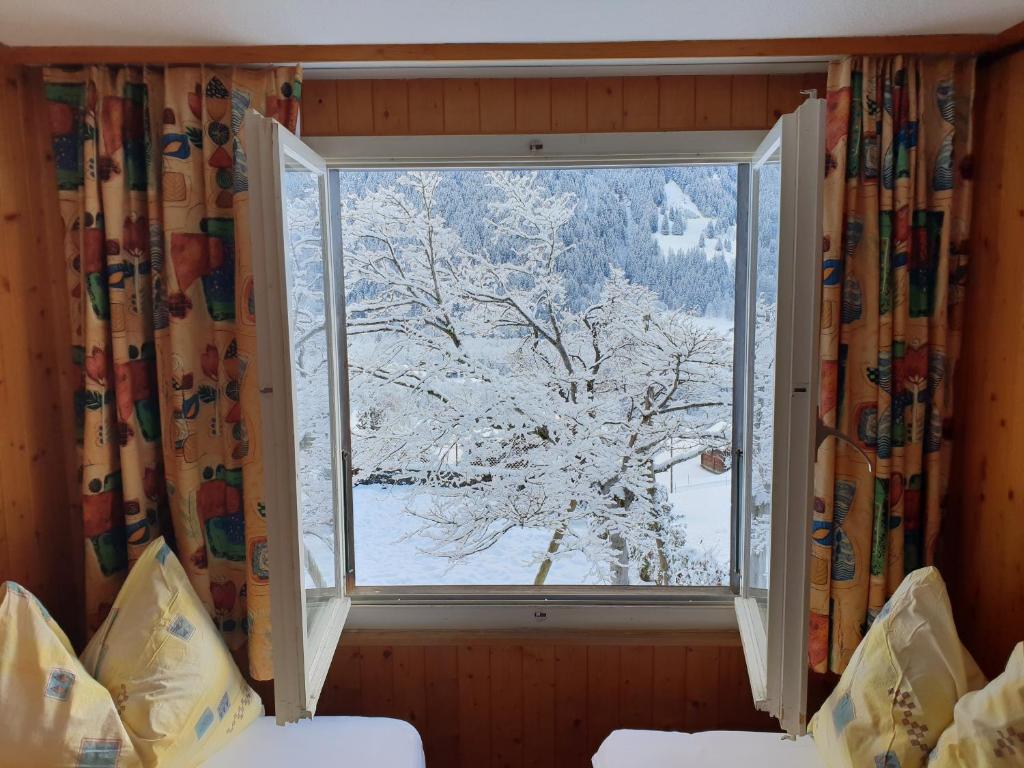 een raam in een kamer met een met sneeuw bedekte boom bij Tschuggen Apartment - No Kitchen in Grindelwald