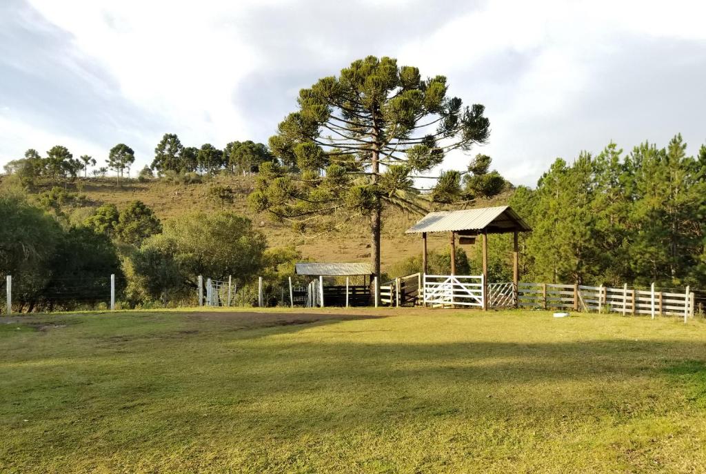 un campo con cenador y árbol en Casa de Campo Passo do Tatu en Urupema