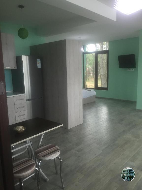 TV a/nebo společenská místnost v ubytování Shekvetili Green House