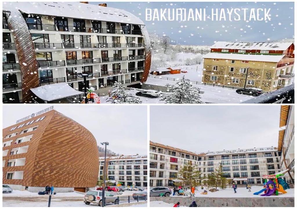 Bakuriani Haystack N67 - отзывы и видео