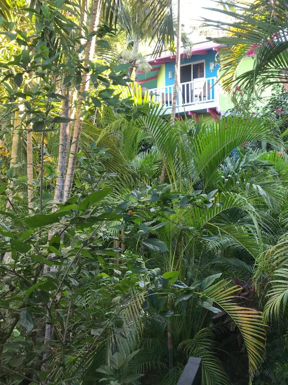 Zahrada ubytování Tamarindo Village Hotel