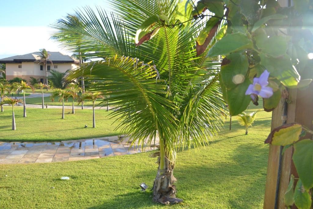  VG Sun Cumbuco C1 101