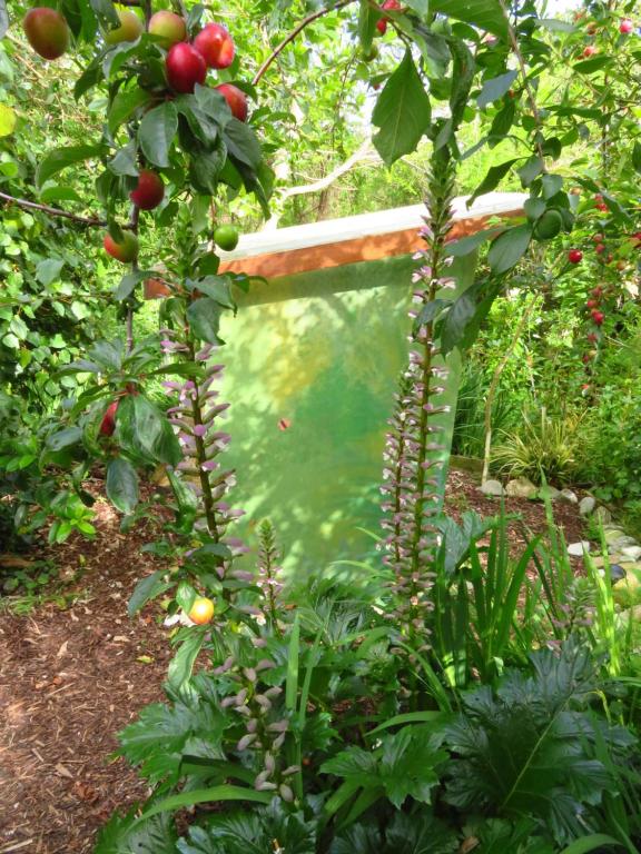Zahrada ubytování Omarama Oasis - Permaculture Glamping