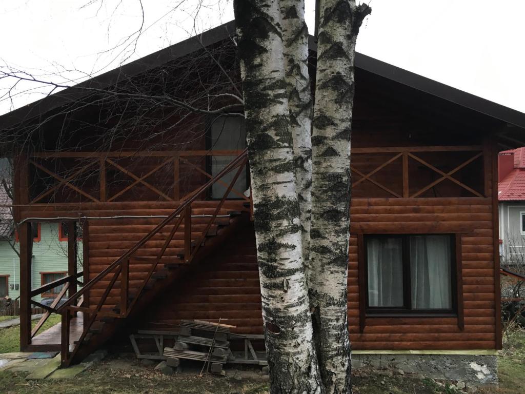 a log cabin with a staircase next to a tree at Три берези in Yaremche