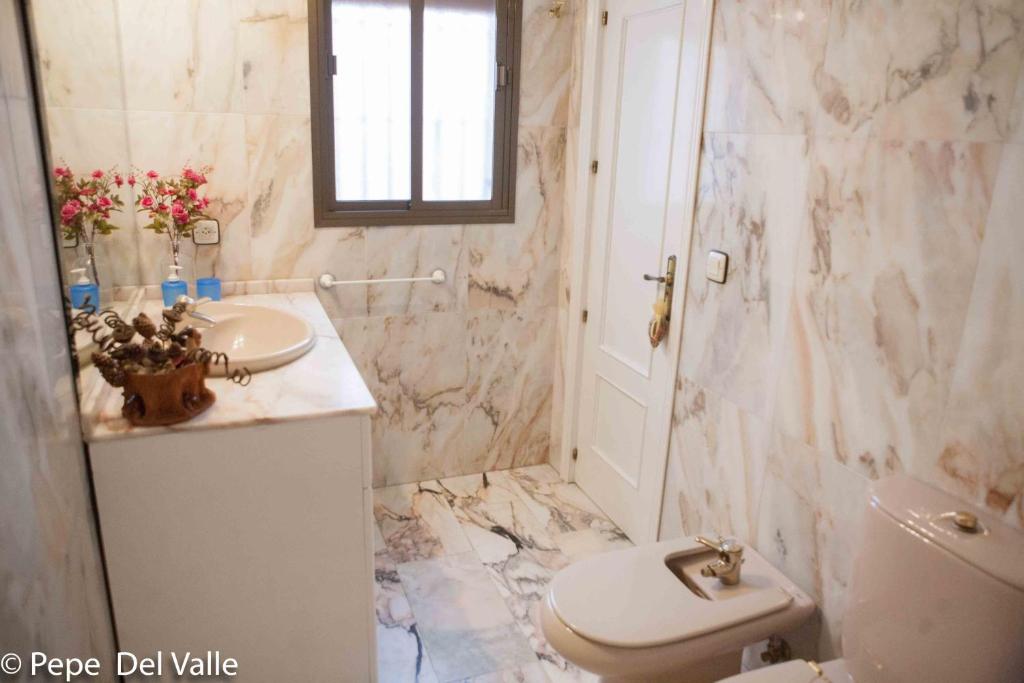 Los patios “ El Carmen” - 7