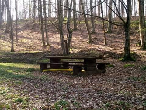Příroda nedaleko prázdninového domu