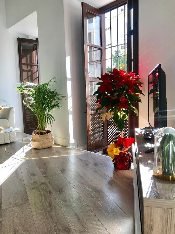 Kép Apartamento San Fernando 27 szállásáról Córdobában a galériában