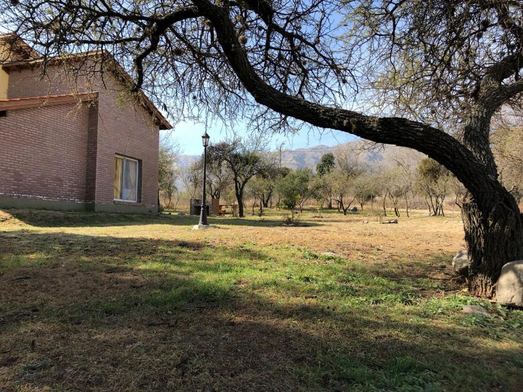 un viejo edificio y un árbol en un campo en Antiguo Molle en Merlo