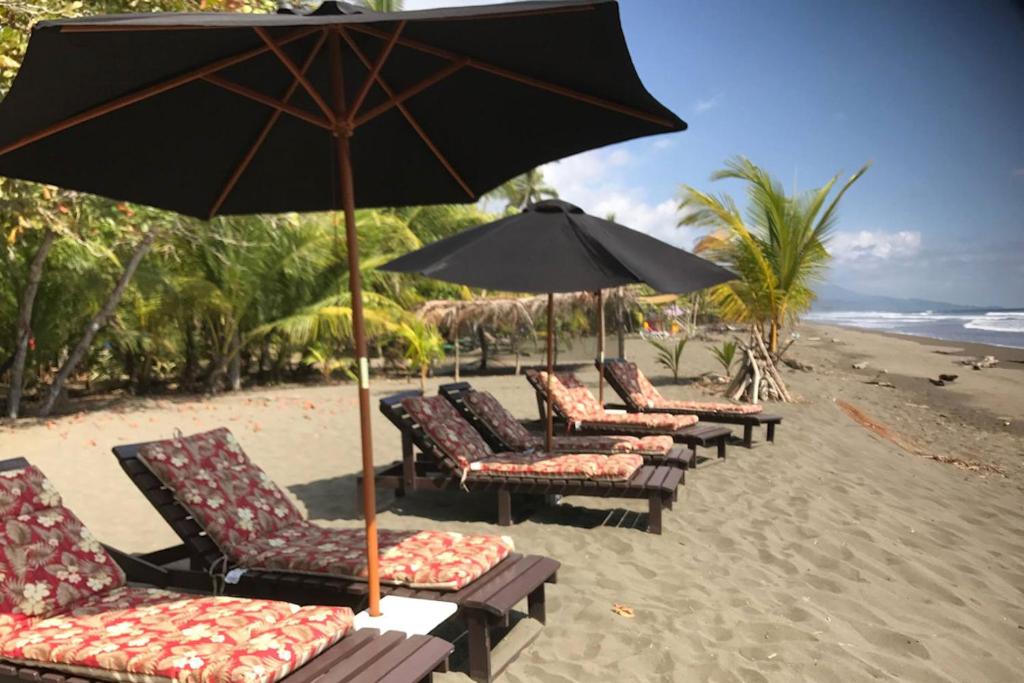 a row of chairs and an umbrella on a beach at Dreamy Contentment in Matapalo