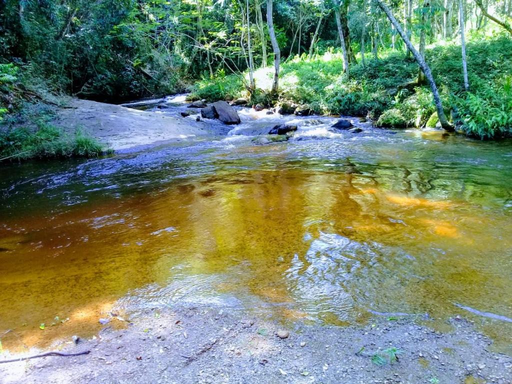 ein Wasserstrom mit Bäumen im Hintergrund in der Unterkunft Pousada Rural e Pesqueiro Chalé da serra in Conceição da Ibitipoca