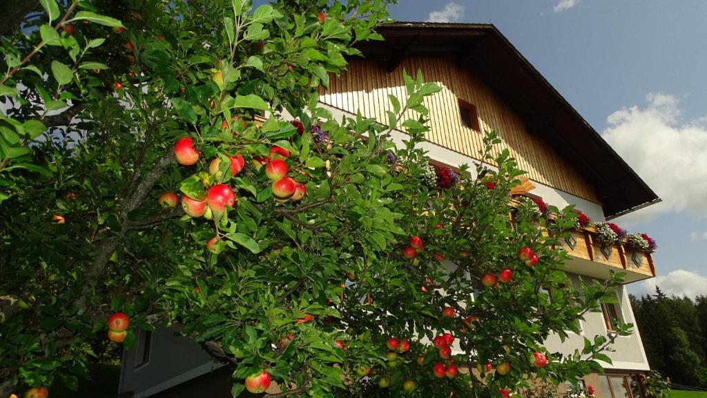 Zahrada ubytování Ferienwohnung Greim