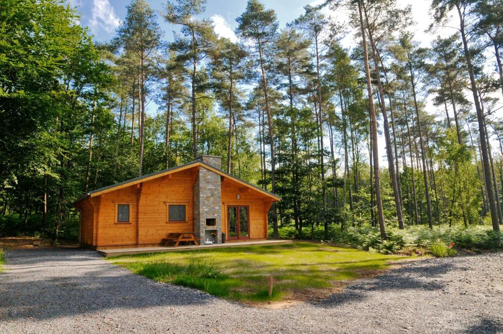 une petite cabine au milieu d'une forêt dans l'établissement Héron d'Argent, à Meurimont