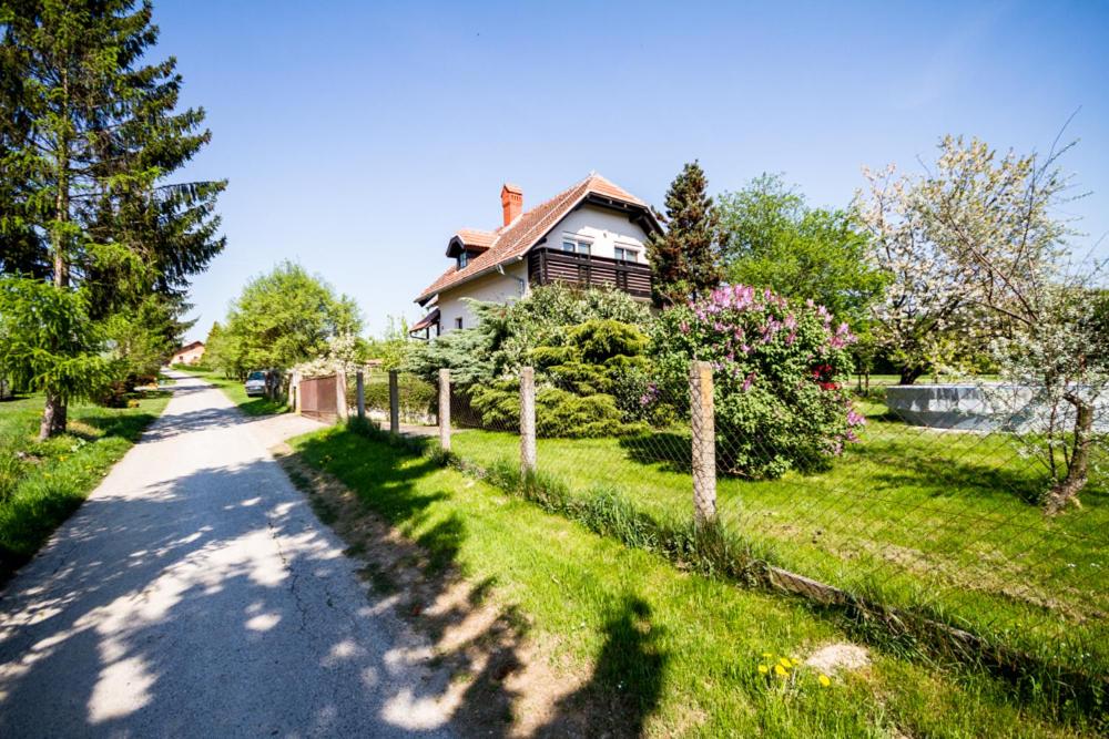 ein Haus am Straßenrand in der Unterkunft D&J house in Ormoz