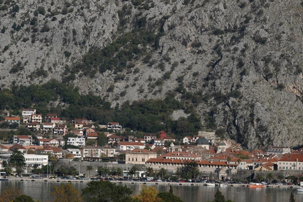 Apartments Krivokapic - 2