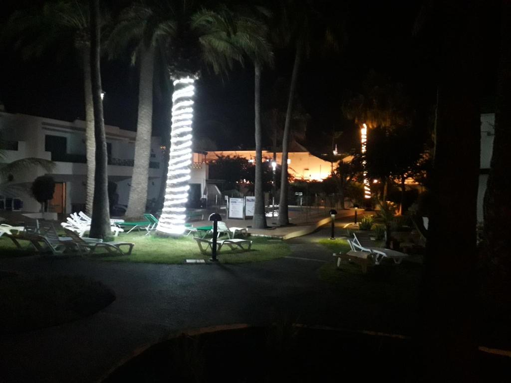 A garden outside Departamento Jose