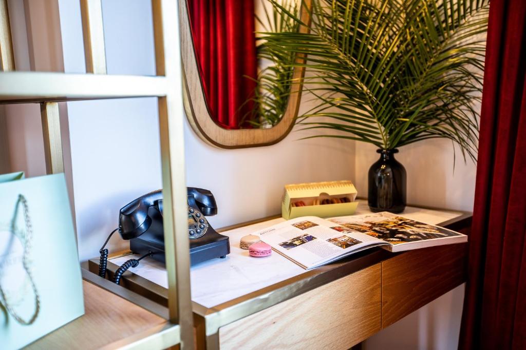 Rose Bourbon - Resim 30