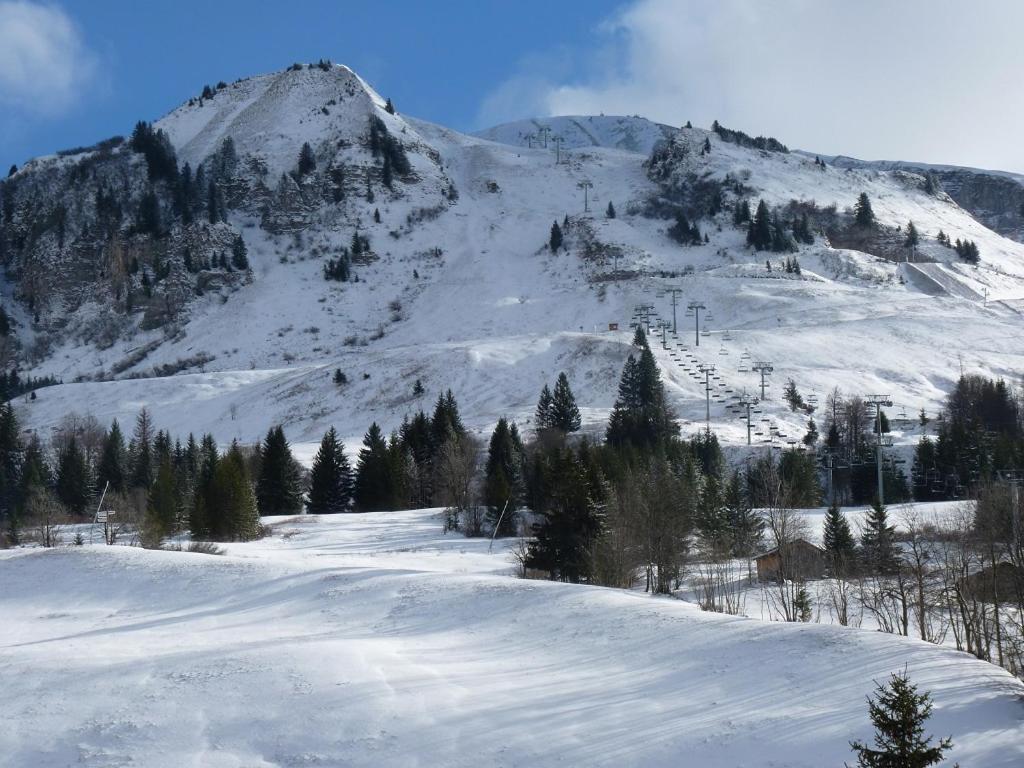 uma montanha coberta de neve com um teleférico em Les Amborzales em Le Grand-Bornand