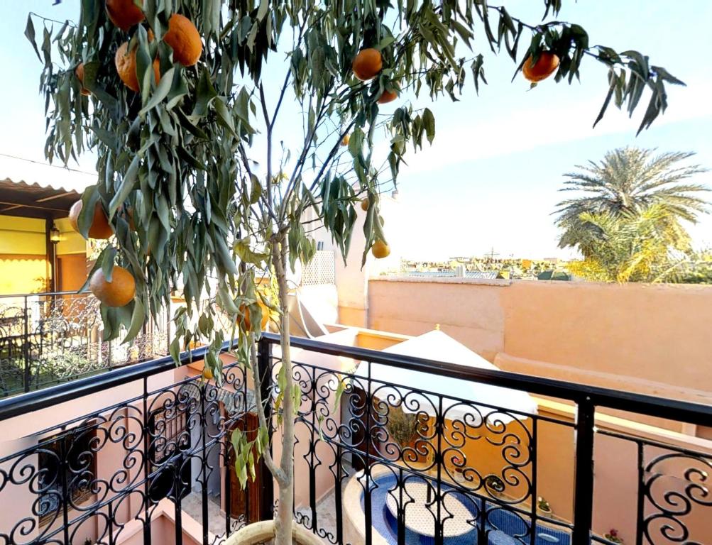 Balkón nebo terasa v ubytování Riad Sania By Ghali