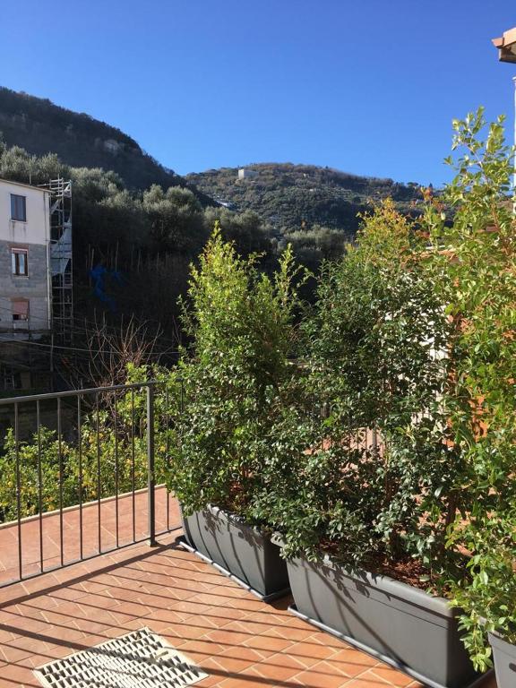 Widok na góry z tego pensjonatu
