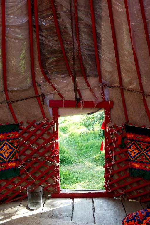 Grigor'yevkaにあるBel-Zhan Yurt Lodgeのギャラリーの写真