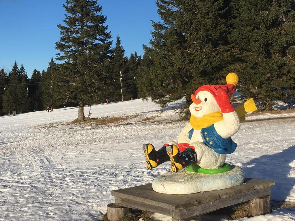 Apartma Rogla - Gaber 98 v zimě