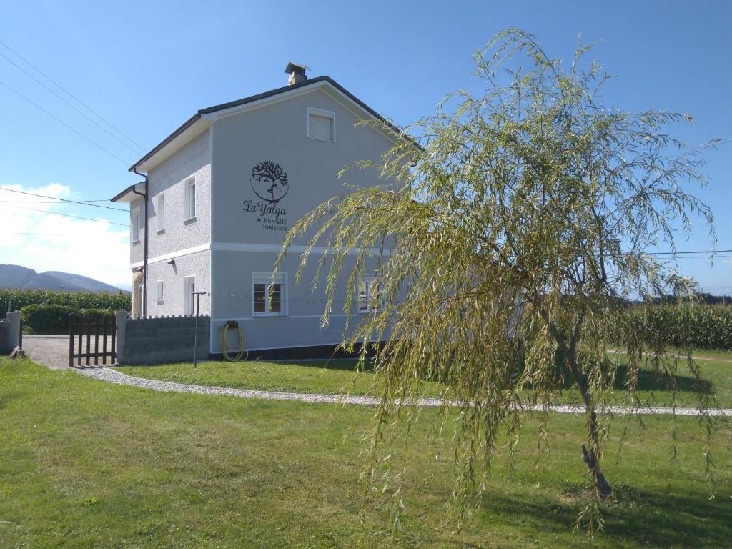 Příroda nedaleko hostelu