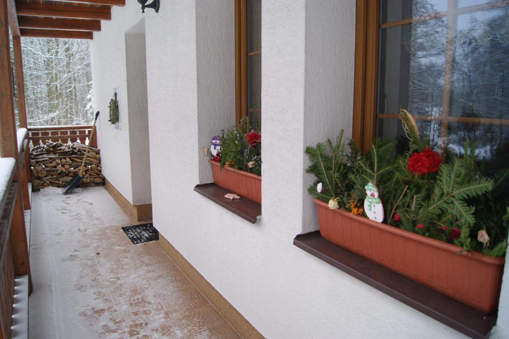 Fotografie z fotogalerie ubytování Chalet Horní Orlice v destinaci Červená Voda
