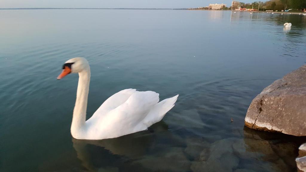 Táj az apartman közelében