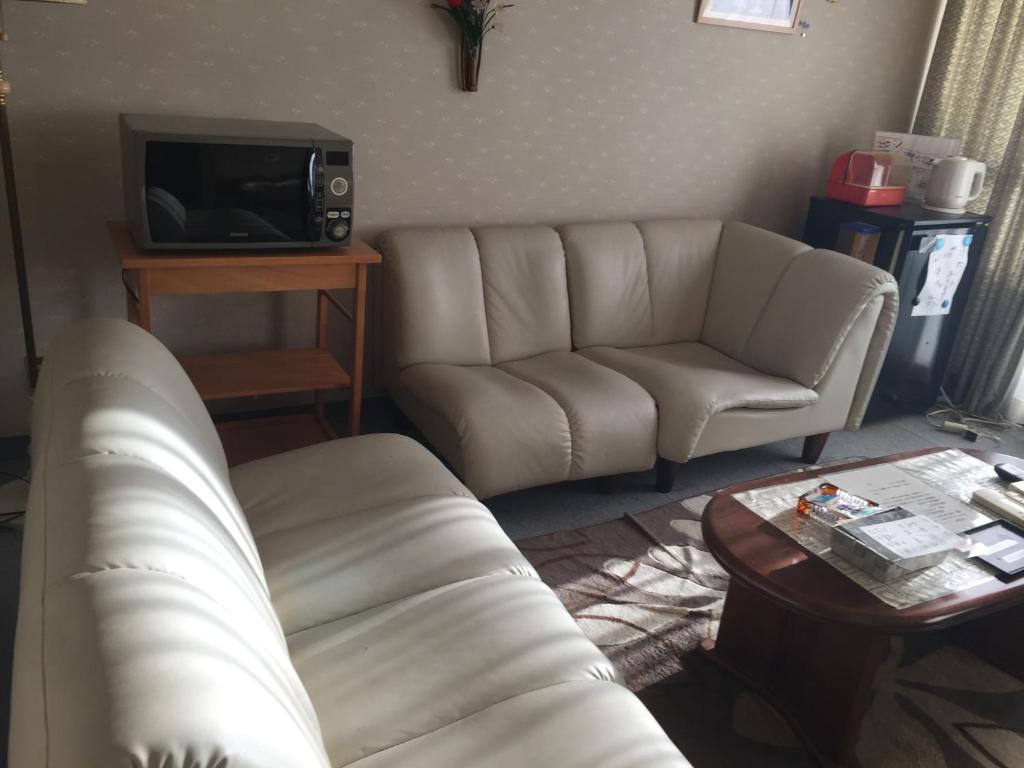a living room with a couch and a tv at Katsuura Seaside Hotel in Nachikatsuura