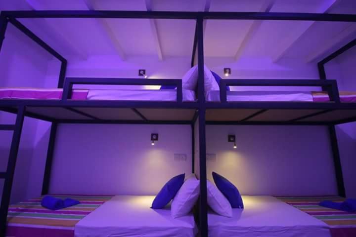 Backpack Beach Hostel & Reggae Bar - 9