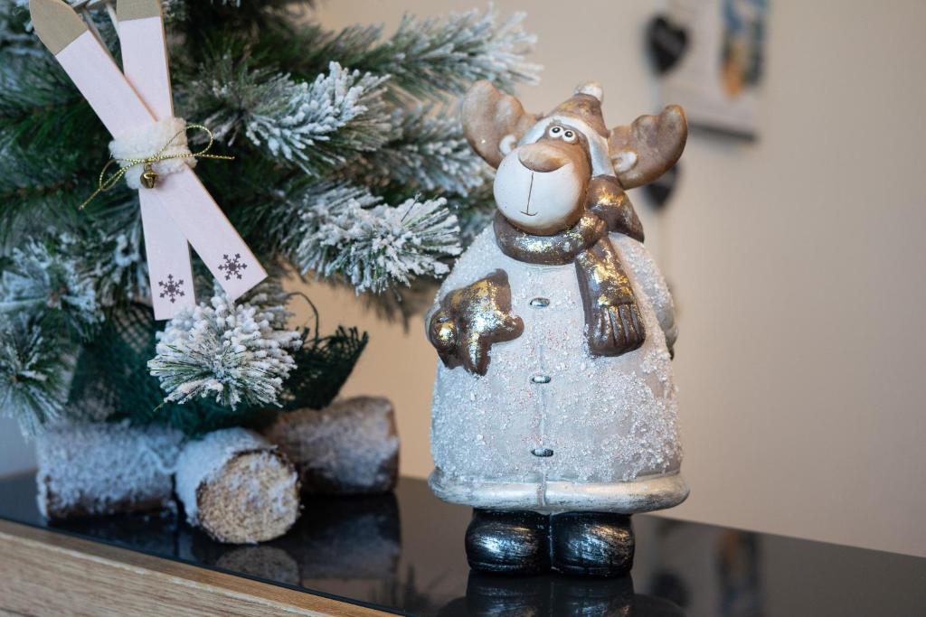 Appartements-Dalila - 7