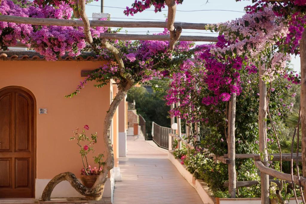 Zahrada ubytování Hotel Il Girasole