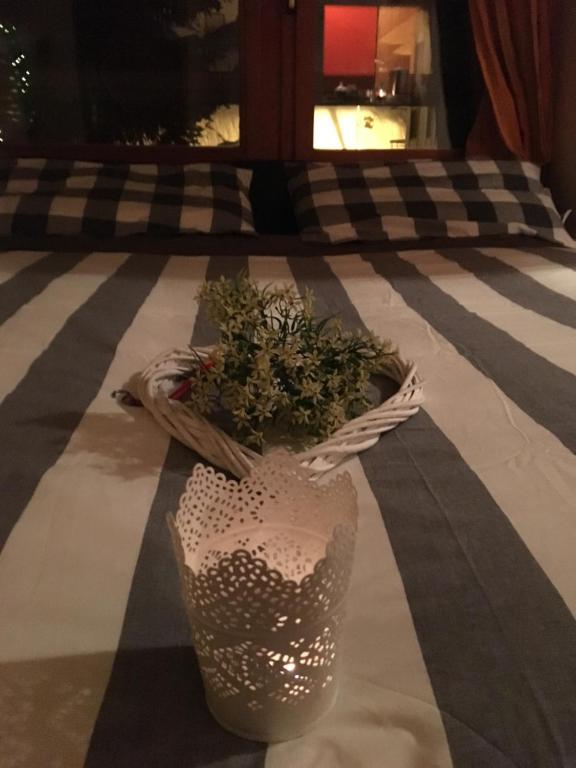 Jedlo v apartmáne alebo blízkom okolí