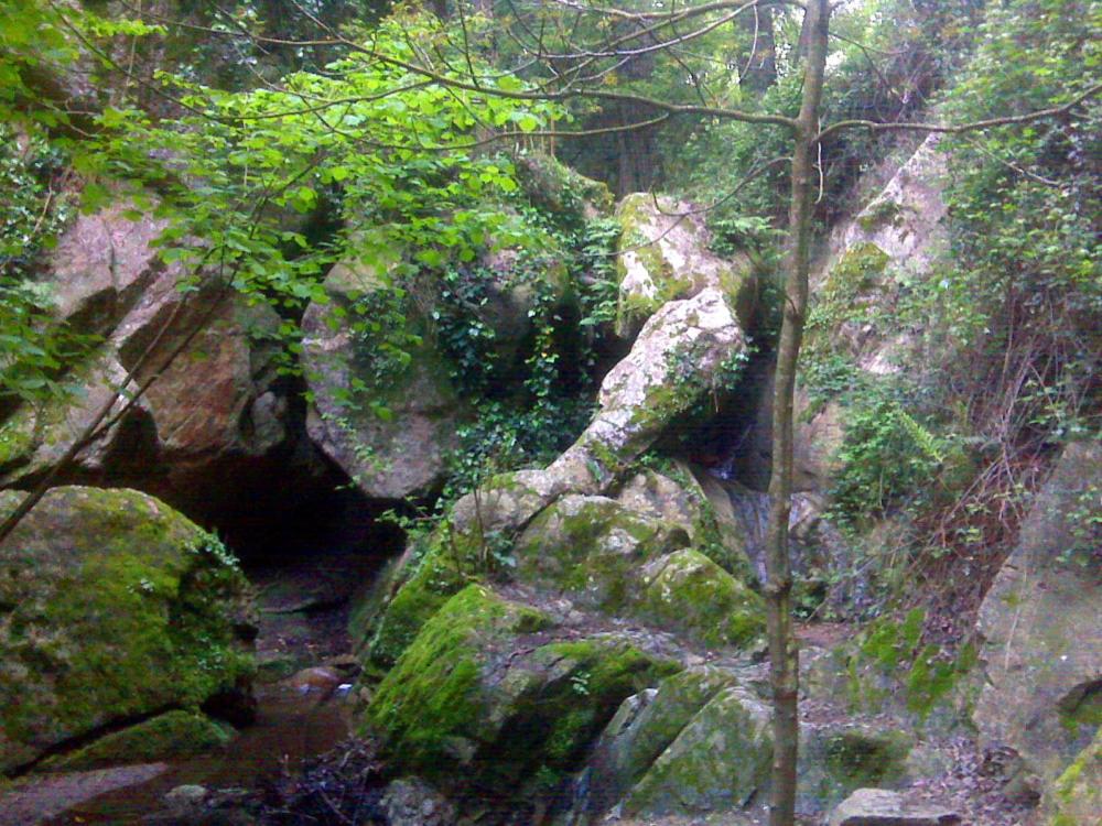Afbeelding uit fotogalerij van Casa Montseny con piscina,bosque in Sant Pere de Vilamajor