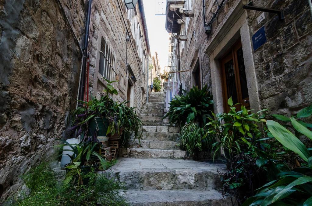 Fotografie z fotogalerie ubytování Apartments Minerva v Dubrovníku