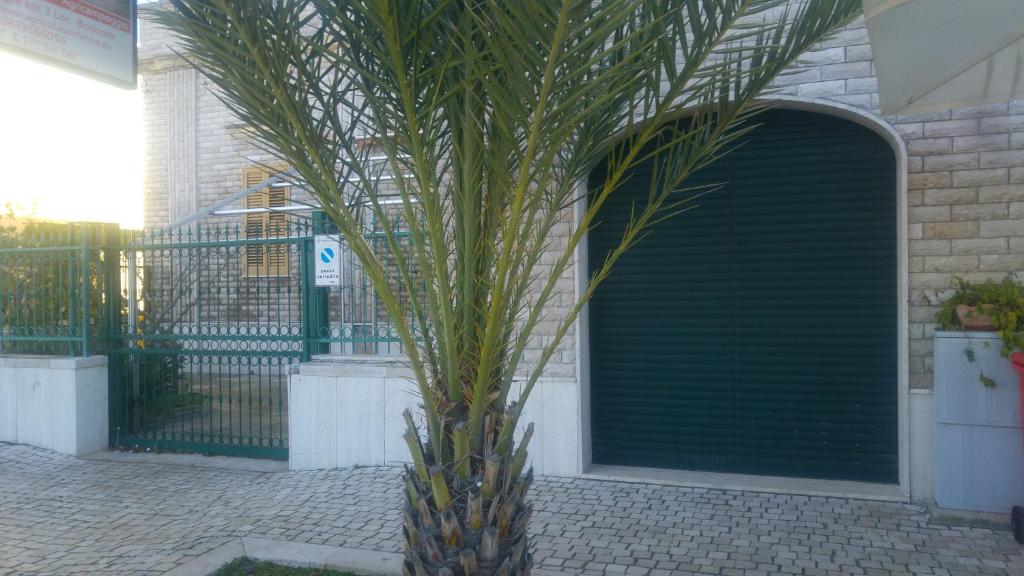 Kép Villa "Franca" szállásáról Porto Cesareóban a galériában